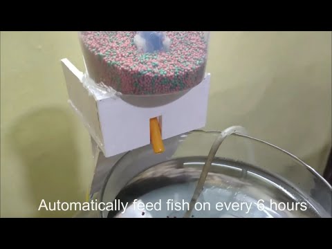 Make automatic fish feeder with arduino SIMPLE &  EASY| Arduino project
