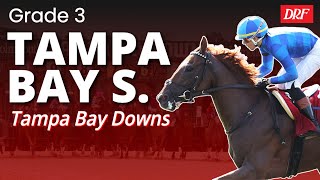 G3 Tampa Bay Preview @ Tampa Bay Downs on Saturday