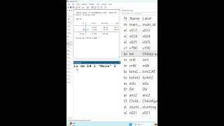 Define variable and value label in Stata #stata #excel #datanalysis