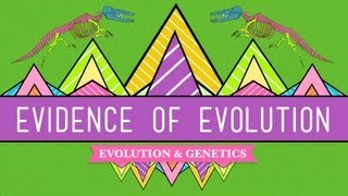 Evolution: It's a Thing - Crash Course Biology #20
