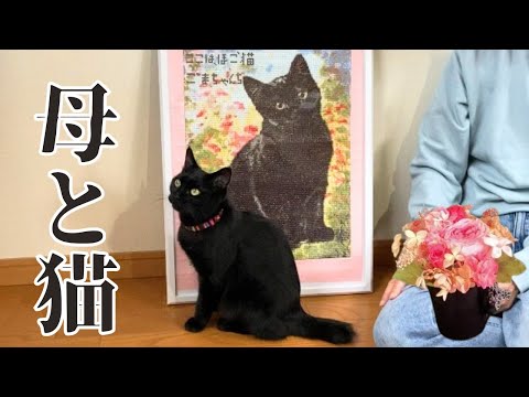 猫娘からの母の日のプレゼントはまさかのアレだった