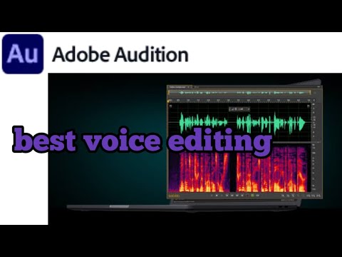 audtion best voice edting