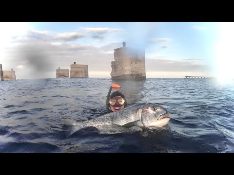 Murky Water Spearfishing Tips & Tricks from South Africa