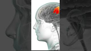🧠 Neuroscience Explained: We Can Now Hear Thoughts in the Human Brain!