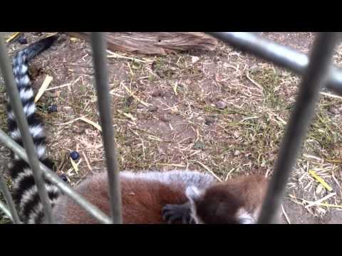 IMG 1128