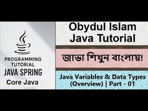Bangla Java Tutorial 017 - Java Variables & Data Types (Overview) Part - 01 | Core Java