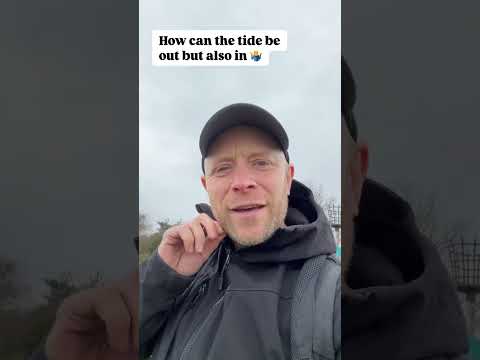 How can the tide be out but also in?! #sharkteeth #beltinge #getoutdoors #kent #adventure #explore