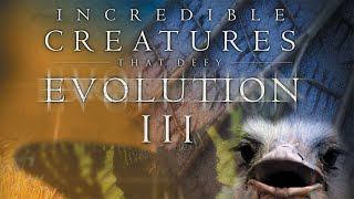 Incredible Creatures That Defy Evolution | Episode 03 | Educational