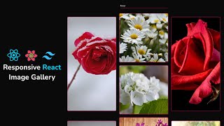 React Image Gallery Tutorial 2025: Tailwind CSS + TanStack Query (For Beginners)