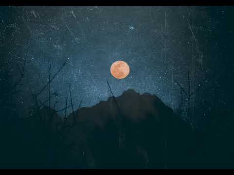 In The Branches + Bluetech - Behind The Sky (Preview)