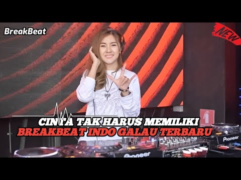 DJ CINTA TAK HARUS MEMILIKI BREKBEAT TERBARU 2024