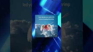 Programming memes, only humor #jokes #fy #fyp #soft #software #code #it #technology #git