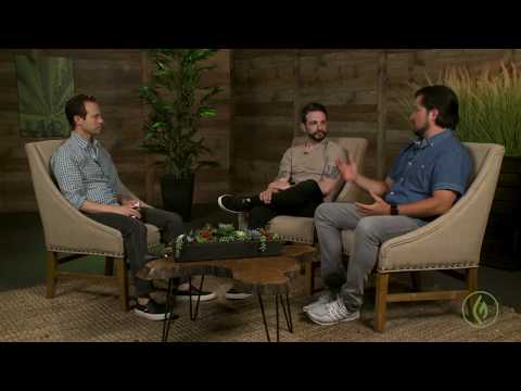 The Future of Cannabis Brand & Marketing with Jared Mirsky and James Zachodni.