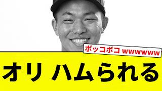 [Ham-ham!] Orix gets hammed [Pro Baseball Reactions]