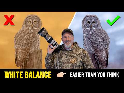 Mastering White Balance; Pro Tips and Tricks