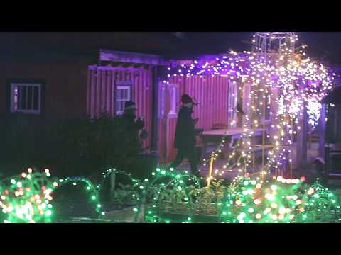 Winterlights at the Tofino Botanical Gardens