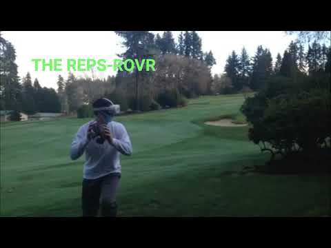 REPS-ROVR