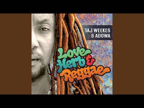 Love Herb & Reggae