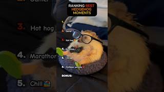Ranking BEST Hedgehog Moments 🦔✨ (You Won’t Believe #1!) #shorts