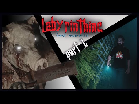 TRAPPED WITH OINKERS - LABYRINTHINE Part 1 | Ft. TKW