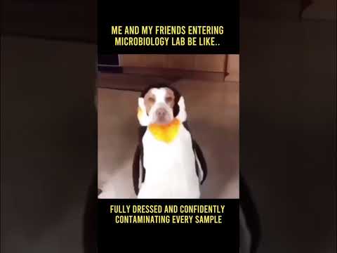 #pharmacy #memes #microbiology #gpat #niper #college #collegelife #shorts #youtubeshorts #students