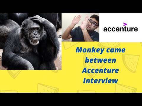 Monkey bro interrupted Accenture Interview Video