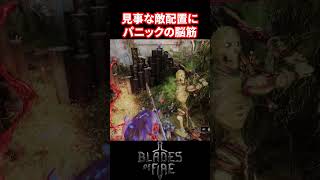 【脳筋アクション】これでも視野角ちょっと広げてるよ【Blades of Fire】