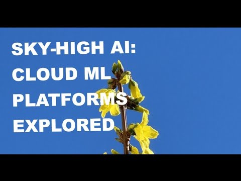 Sky High AI Cloud ML Platforms Explored