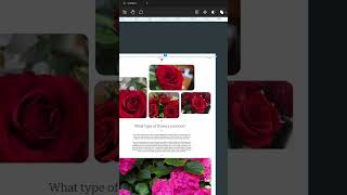 #shorts 1. Web Design for new blog.