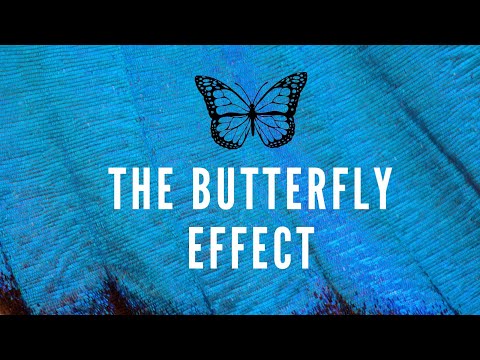 The Butterfly Effect: To expect the Unexpected