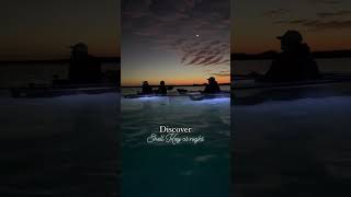 Discover Shell Key at night! #sunset #exploreflorida #ecoadventure