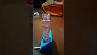 Science Experiments For Kids #shorts