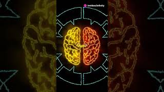 Brain #generalknowledge #knowledge #gk #gkfacts #facts #reels #generalreading #general_knowledge