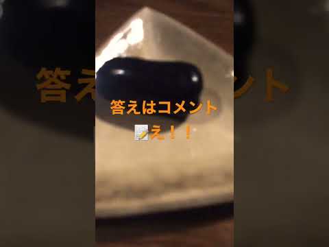 これなに❓❓❓❓❓