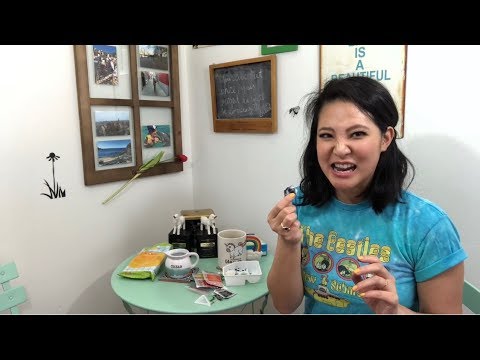 Discover DIY Bento Box for Kids