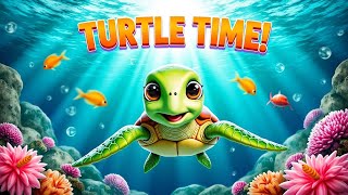 Turtle Time