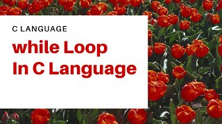 while Loop In C Language