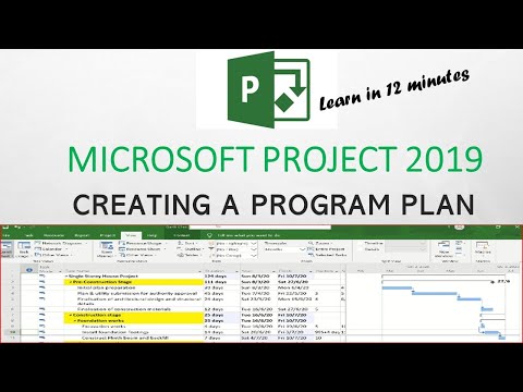 Develop a Program Plan - Microsoft Project 2019 #microsoftproject #msp #schedule #program #planning