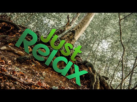 Sounds of Nature on a bike