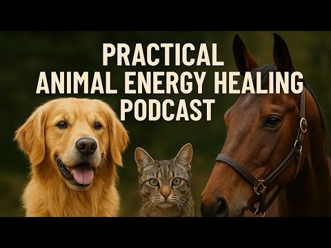 Practical Animal Energy Healing Podcast