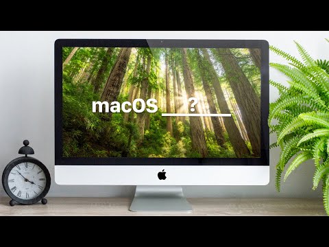 Creating Our Own Apple Wallpaper: MacOS _________