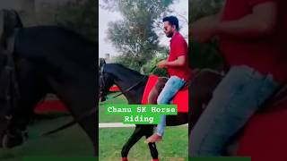Chanu SK Horse Riding-Best SAP Trainer In Hyderabad-Chanu SK SAP Training in Telugu