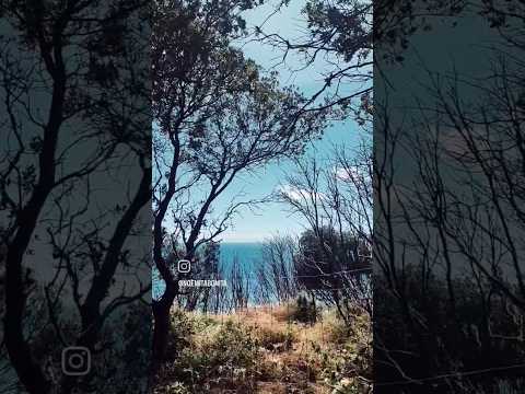 Today I decided to go back to what I do best. Exploring. ❤️ #summer #beach #sea #view #destination