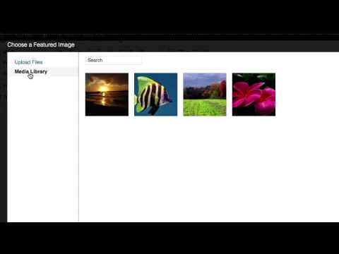 FeaturedImages