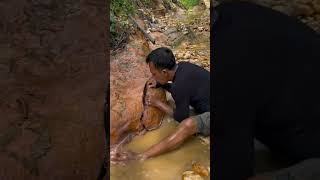 Hidden Raw Gold Found in Water | Amazing Gold Searching Video ⛏️💛