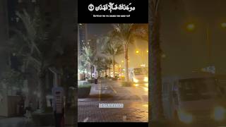 🌻 Basking in the radiance of Allah’s merciful love. #DivineAffection #HeartFullOfLight #dubai