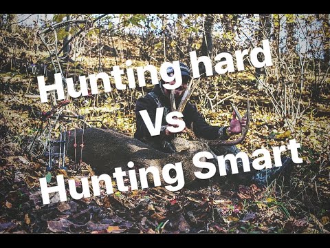 Hunting Hard Vs Hunting Smart
