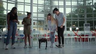 'Microsoft AI Tour 2024 SHOCKS Industry! MUST WATCH Tech Event !'