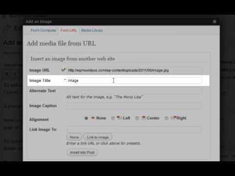 Adding an Image From a URL