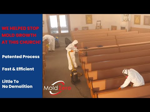 Mold Zero Helps a Church Take Care of It's Mold Problem